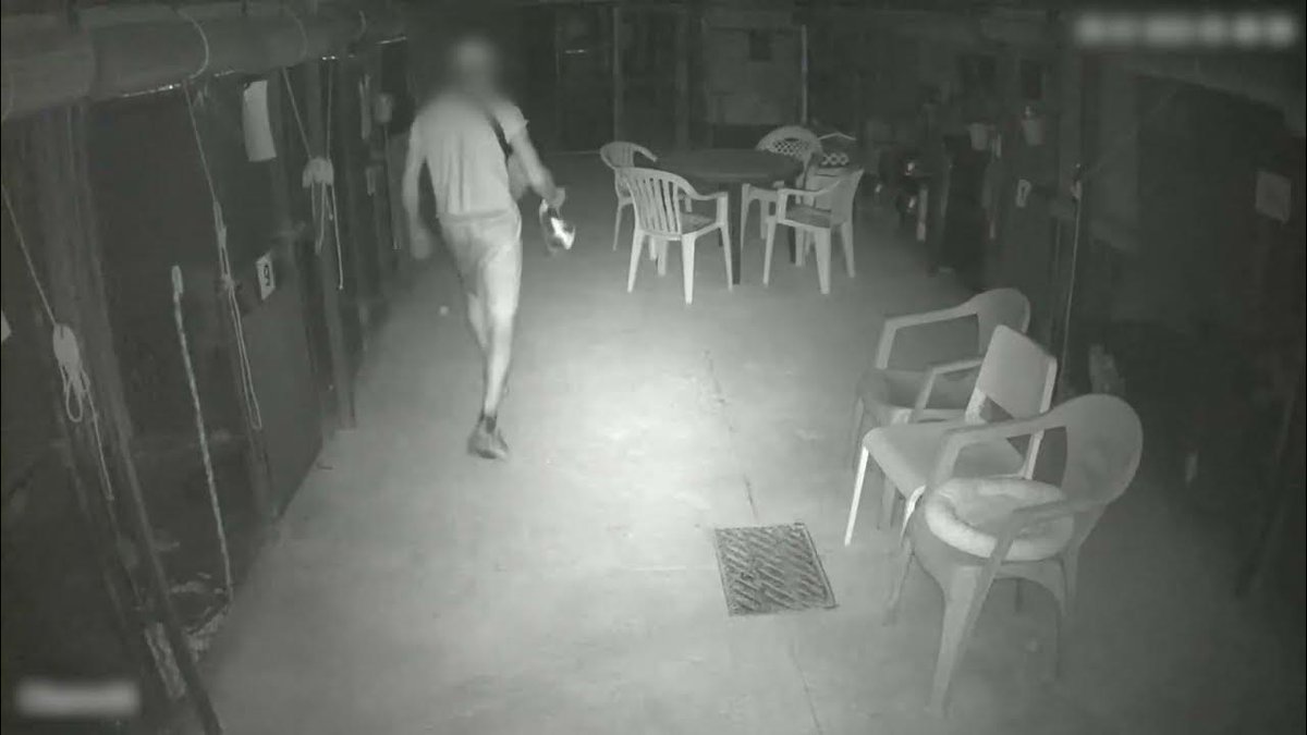 Derecho y Animales el Podcast de INTERcids tweet media