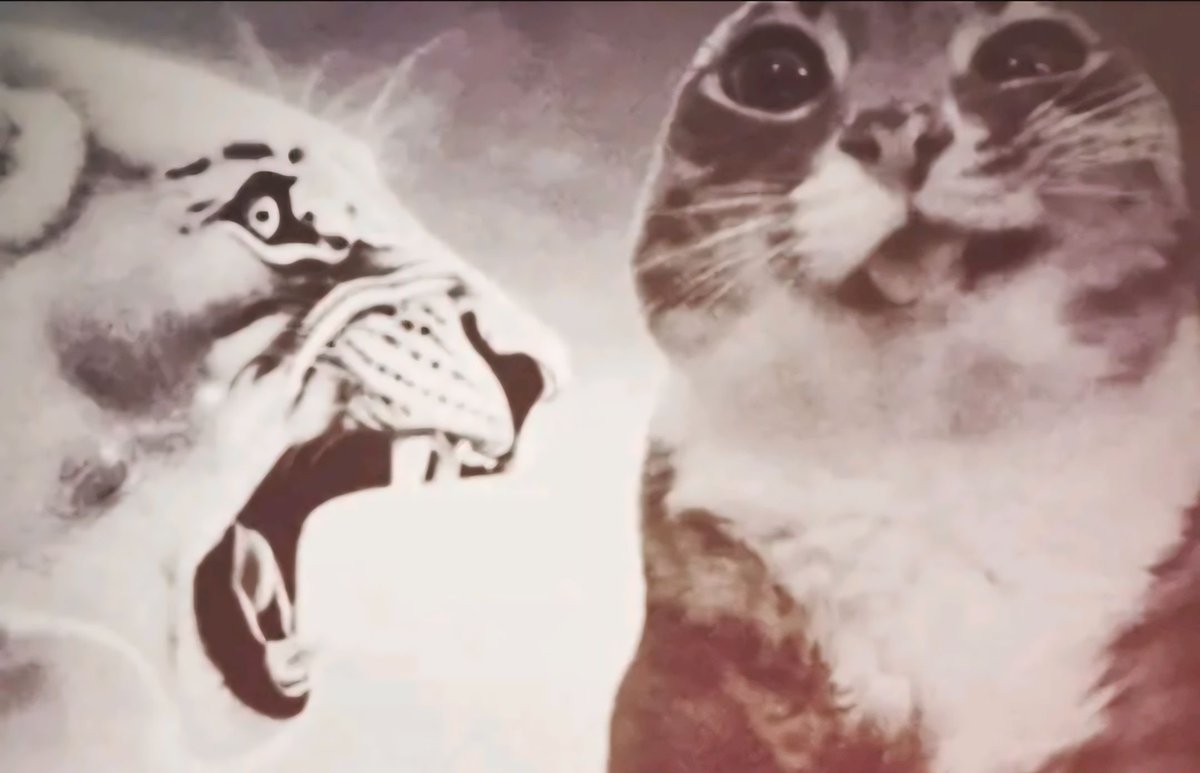 <a href="/neohistoria_id/">neohistoria Indonesia</a> Prinsip netizens KING INDO 👑: "Kita ga mau menang, kita cuma mau lu keszel😎🤪"

KNETZ                          Netizens Indonesia