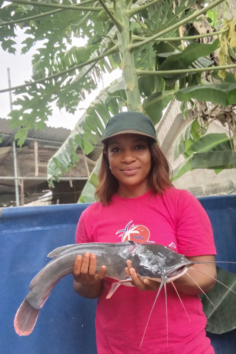 jenniesfarmlagos 🐟 🐠 tweet media