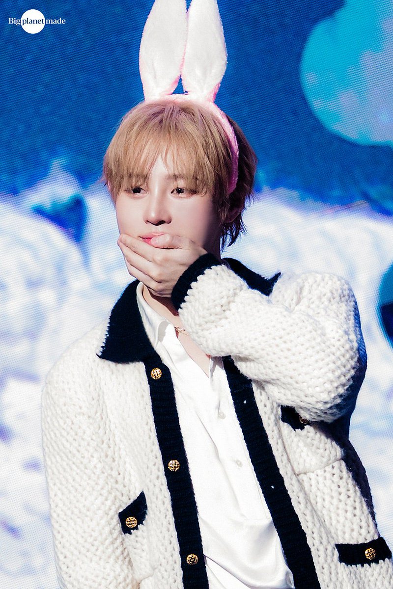 공식 톢끼 사진