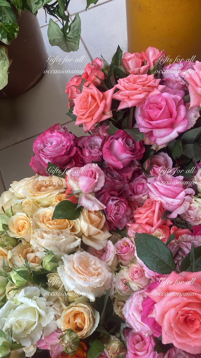 Ready for valentines. Have you placed your orders yet?❤️🌹