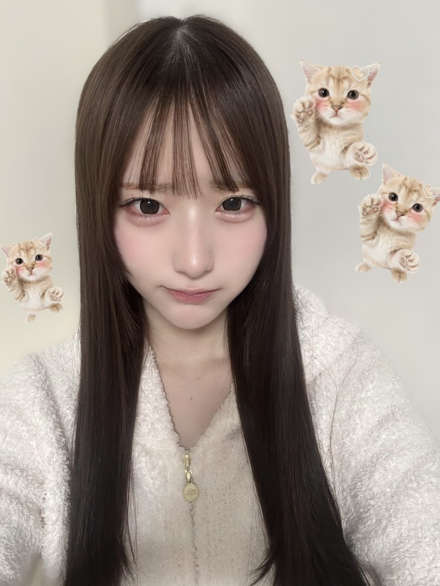 RainTree綾瀬ことり生誕祭実行委員会 (@kotori612seitan) / Posts / X