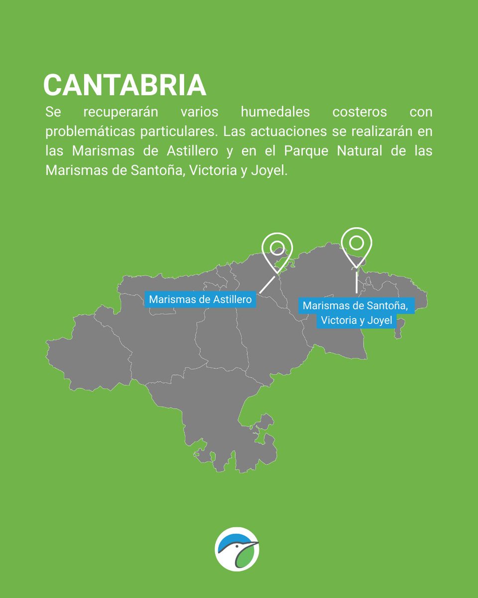 SEO/BirdLife tweet media