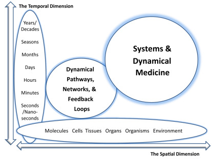 Dr Sam Soete tweet media