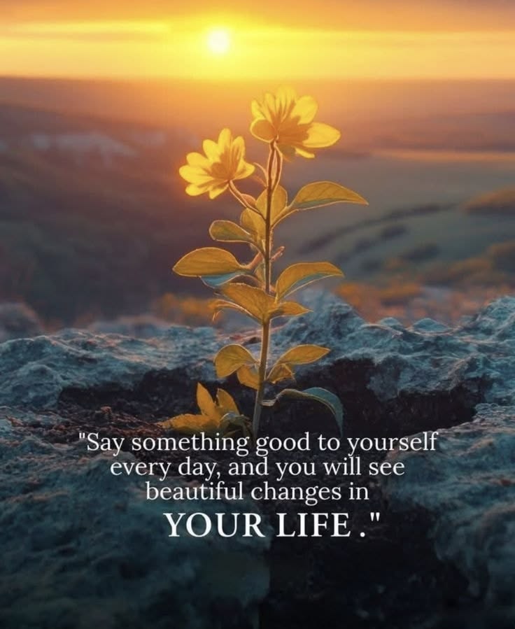 POSITIVITY (@positivitysaid) on Twitter photo 