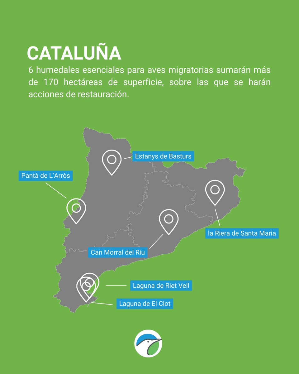 SEO/BirdLife tweet media