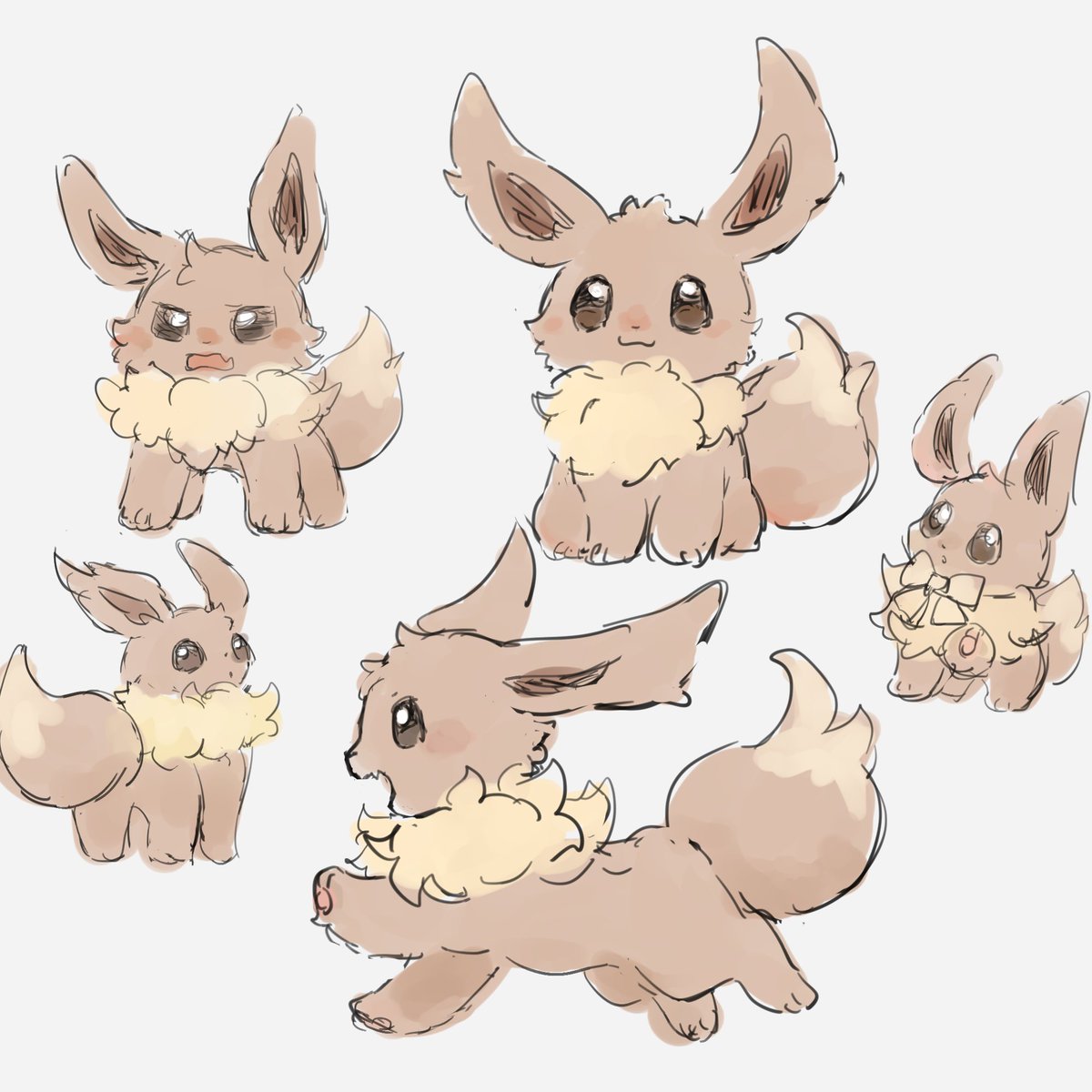 クロウミ tweet media