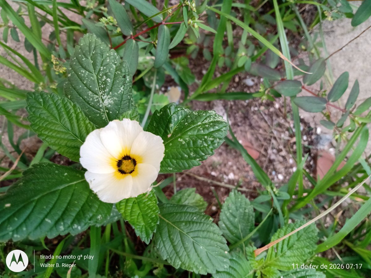 Bom e abençoado dia a todos
