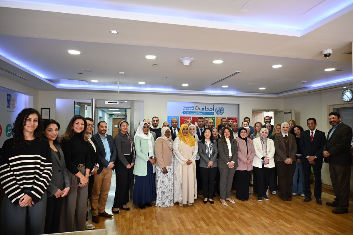 UNDP Egypt tweet media