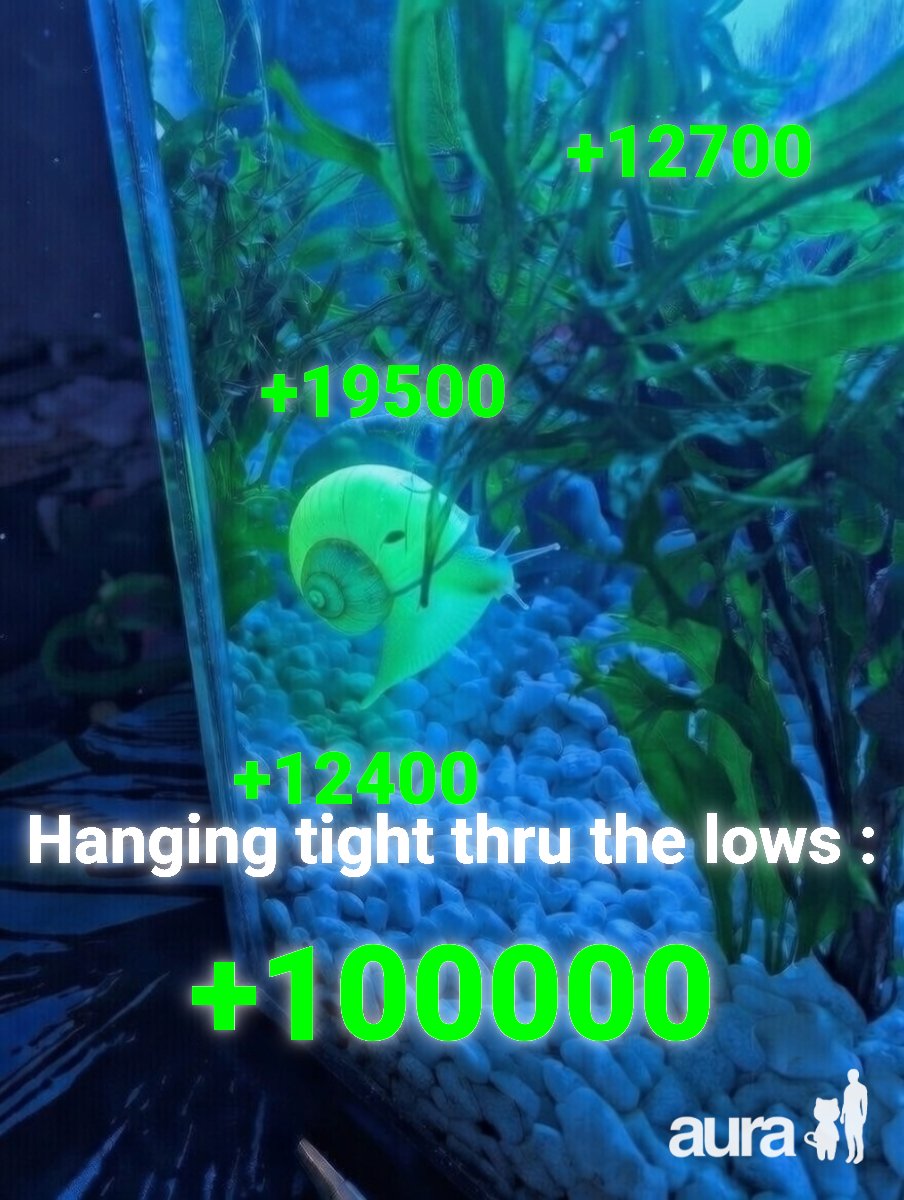 JBZoo_BRF tweet media