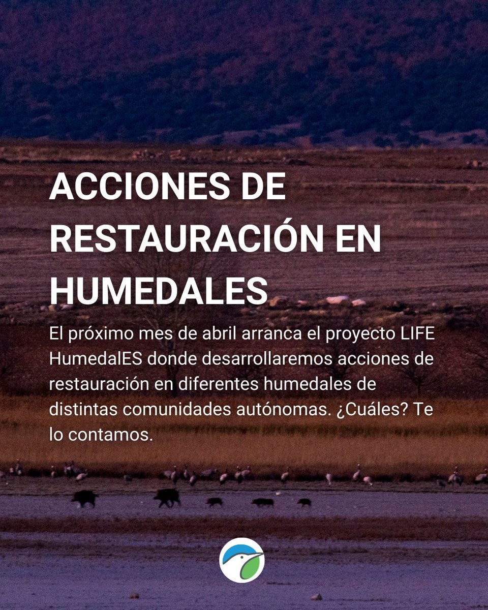 SEO/BirdLife tweet media