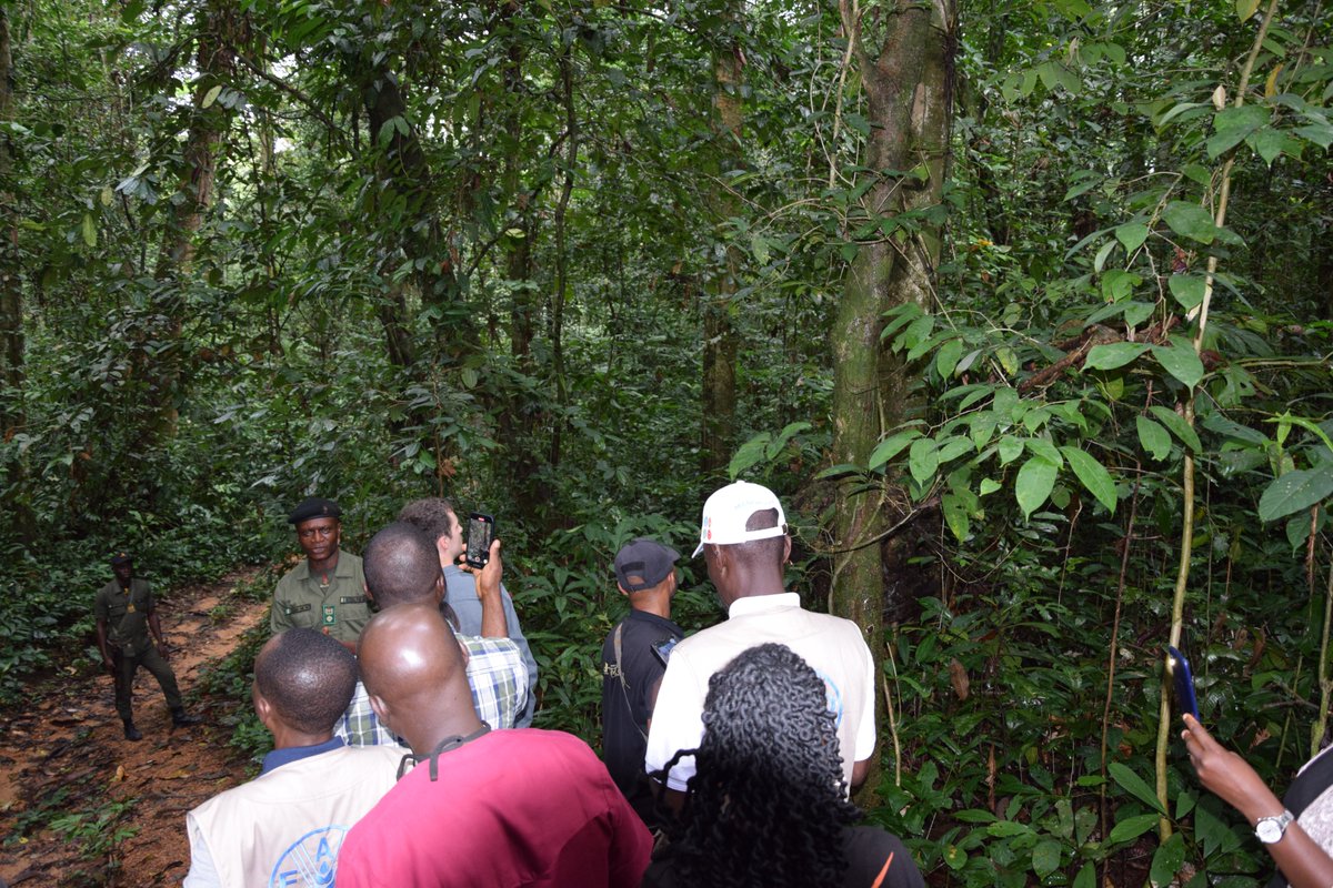 FAO Nigeria tweet media