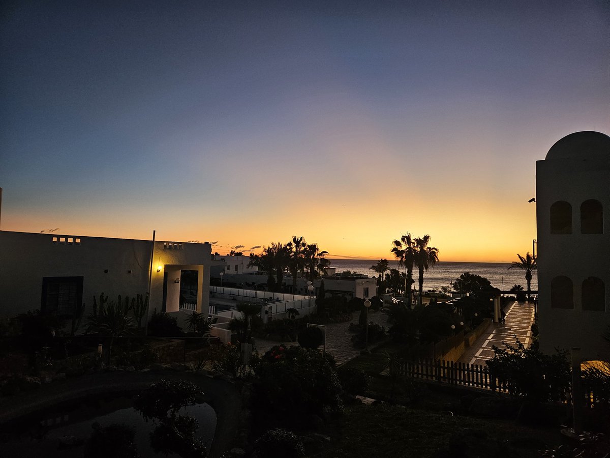 Bumblebot78's tweet photo. My view at sunrise https://t.co/QWZtV0Bvtx