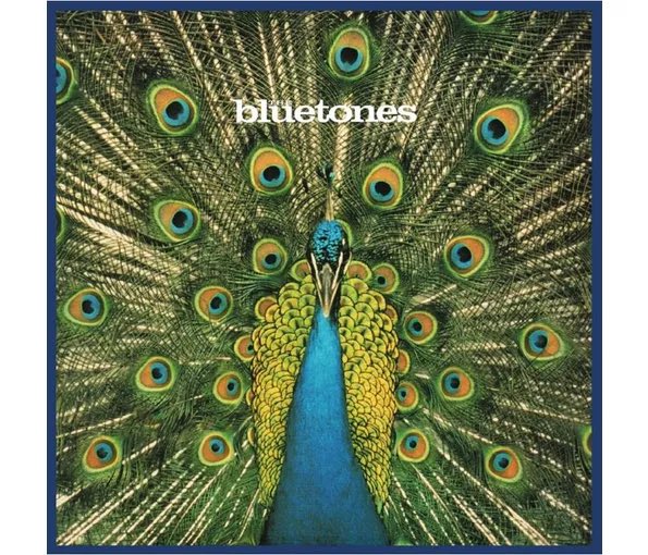 The Bluetones tweet media