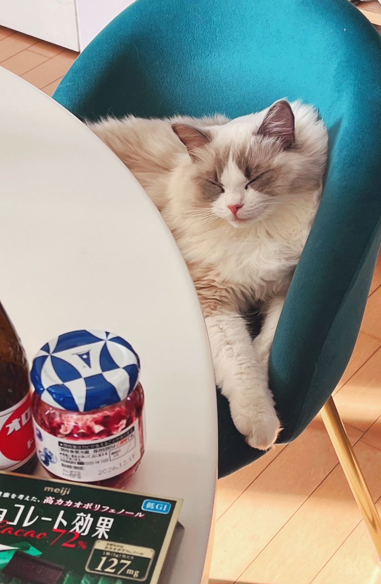 め🍼🐈 (@MEKo_Neko_) / Posts / X