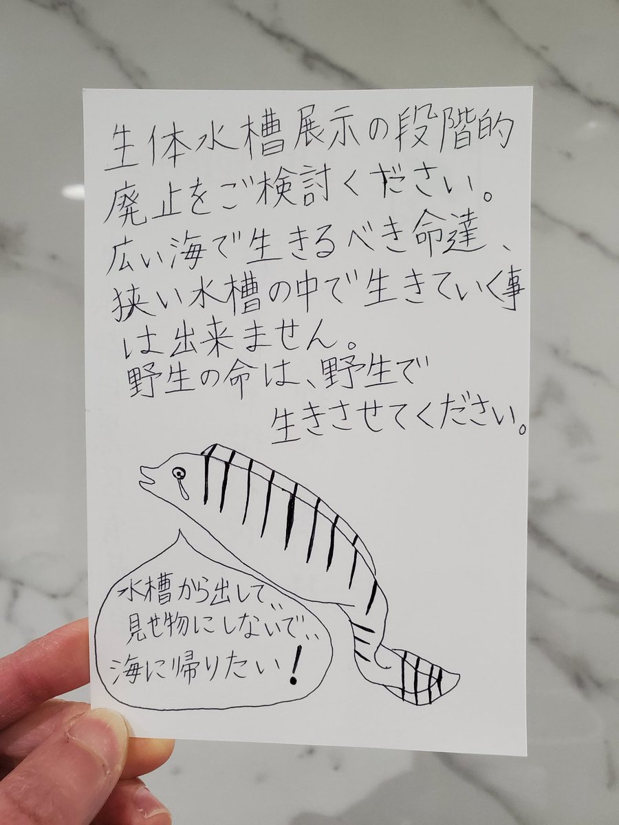 ドン・キホーテに、生体水槽展示の段階的廃止を求めるハガキを書きました🙏
広い海を泳いでいた野生動物、ウツボさんが人間に例えると畳1枚程の空間に一生閉じ込められてしまう事、その苦しみは想像を絶します。
皆様も、ドン・キホーテに意見をお願いします。電話やFAX、ハガキ、ご協力お願いします‼️