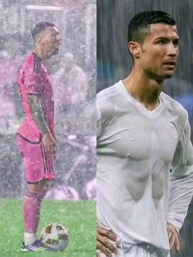 Tariq ⓯ tweet media