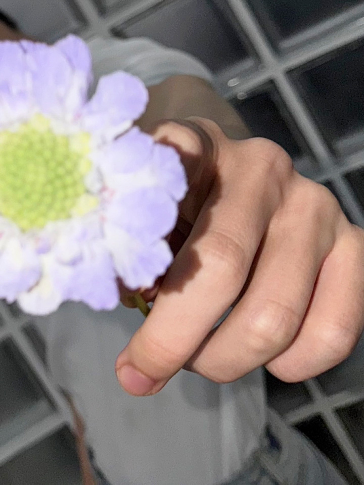 ㅈㅈ ☆ (@jjatmosphere) / Posts / X