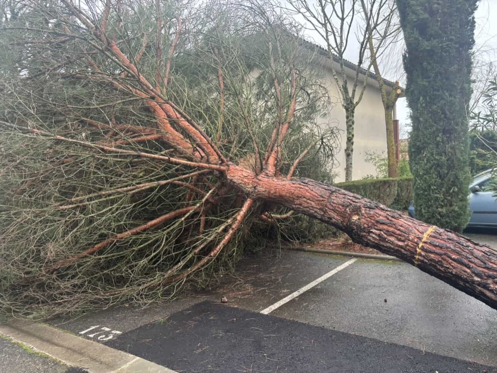 GWoznica's tweet photo. [DIRECT] La #tempête continue de se renforcer sur le #Roussillon, avec des rafales atteignant 180 km/h à #Caixas (Pyrénées-Orientales), un record ! Les dégâts sont importants et parfois impressionnants dans ces secteurs. Au total, 900.000 foyers sont sans électricité. Prudence ! https://t.co/KCGa7GNOBa