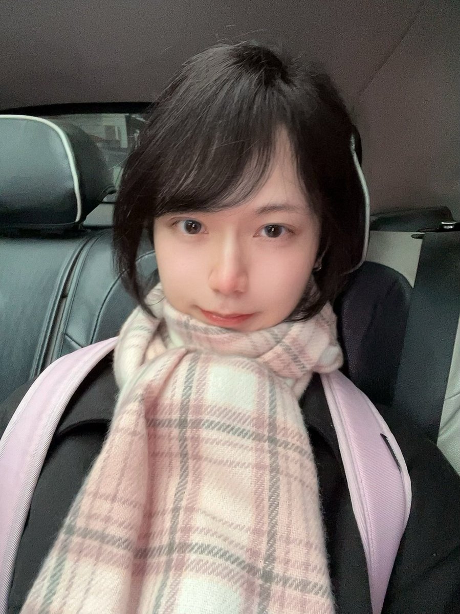 解树 tweet media