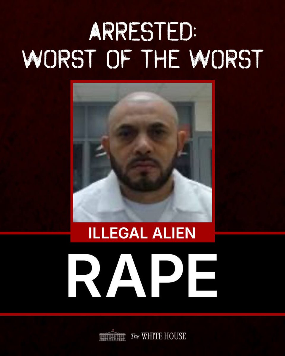 SapperDaddy74's tweet photo. @pauldug59118129 @theblaze https://t.co/PWhv5YVLQX