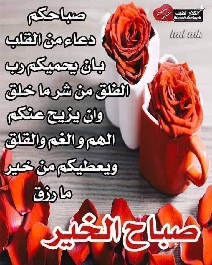 نهىlove 313🌿 tweet media
