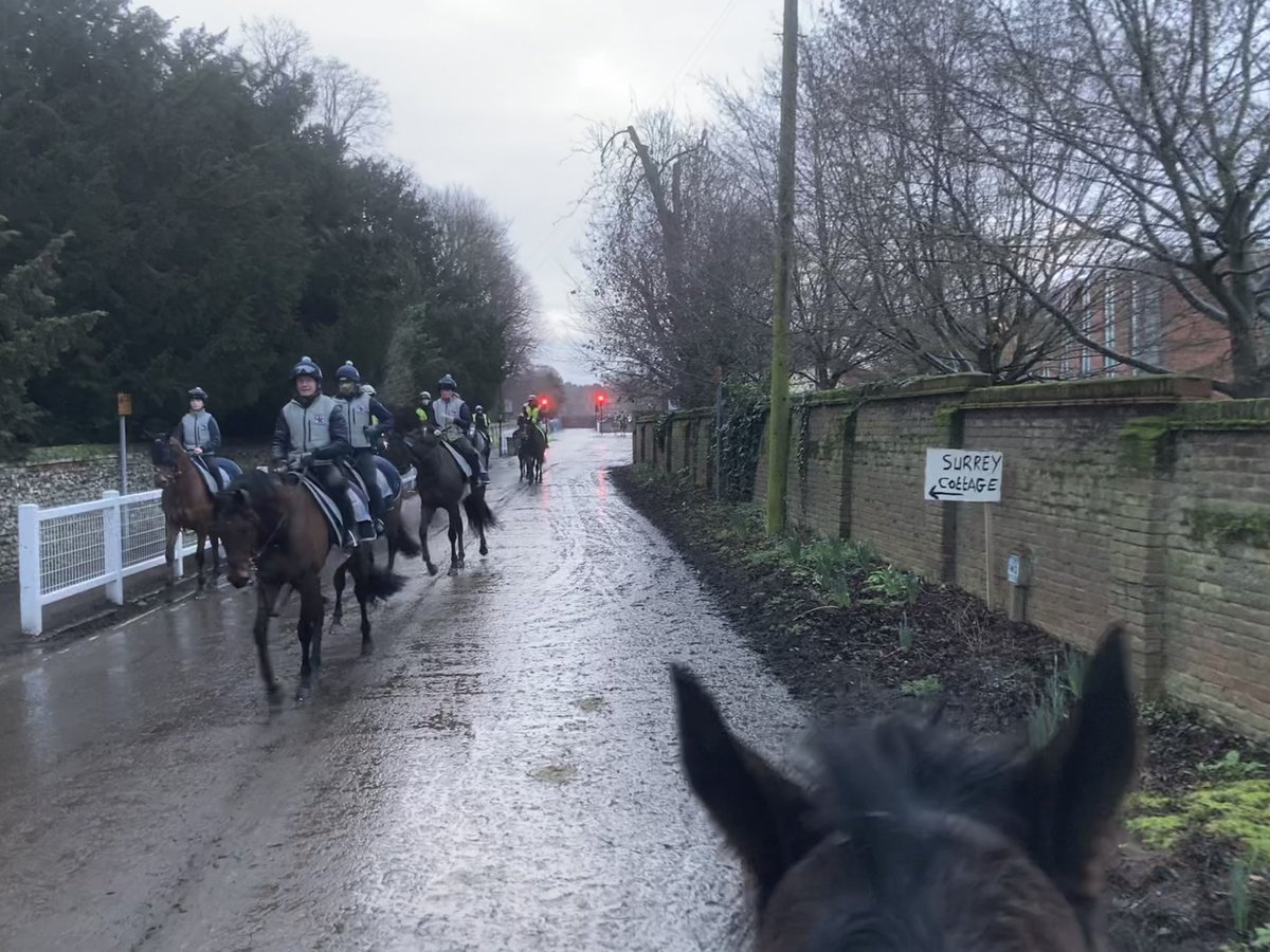 JohnWathenBerry's tweet image. More rain again in Newmarket yesterday evening and again this morning. Stopped raining now but it’s still quite bleak. And so very wet. Breeze getting up again so feeling colder. 6 degrees, ‘feels like 2’ #MrsMaisel #Dereham #Clasina #DoubleMeaning #SmooCave #Littleferry