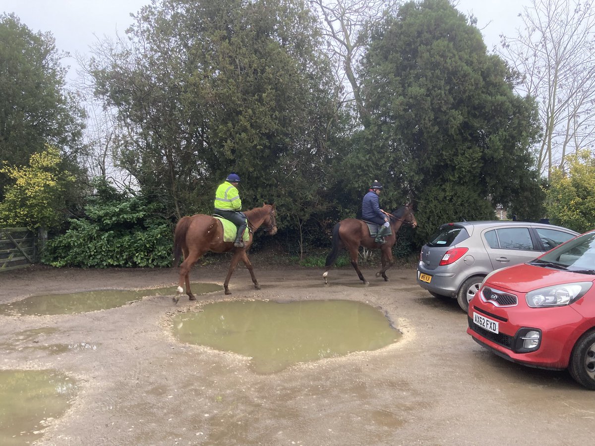 JohnWathenBerry's tweet image. More rain again in Newmarket yesterday evening and again this morning. Stopped raining now but it’s still quite bleak. And so very wet. Breeze getting up again so feeling colder. 6 degrees, ‘feels like 2’ #MrsMaisel #Dereham #Clasina #DoubleMeaning #SmooCave #Littleferry