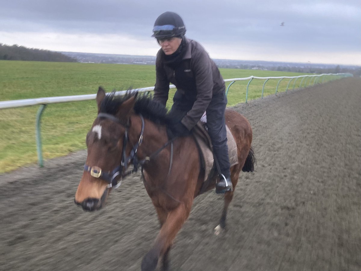 JohnWathenBerry's tweet image. More rain again in Newmarket yesterday evening and again this morning. Stopped raining now but it’s still quite bleak. And so very wet. Breeze getting up again so feeling colder. 6 degrees, ‘feels like 2’ #MrsMaisel #Dereham #Clasina #DoubleMeaning #SmooCave #Littleferry