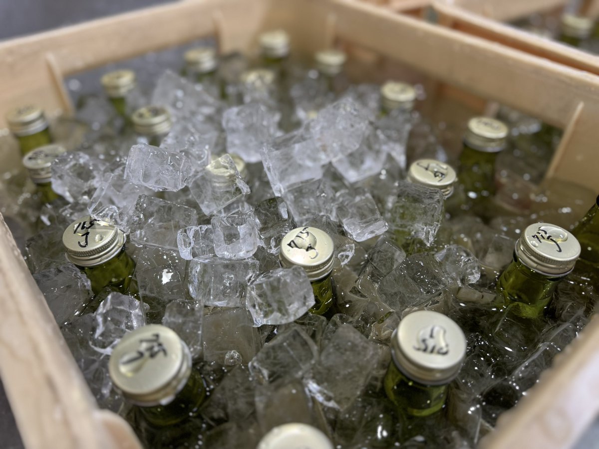 浦里知可良@浦里酒造店 六代目蔵元 tweet media