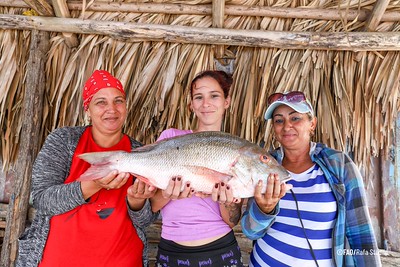 FAO Climate Change & Biodiversity tweet media