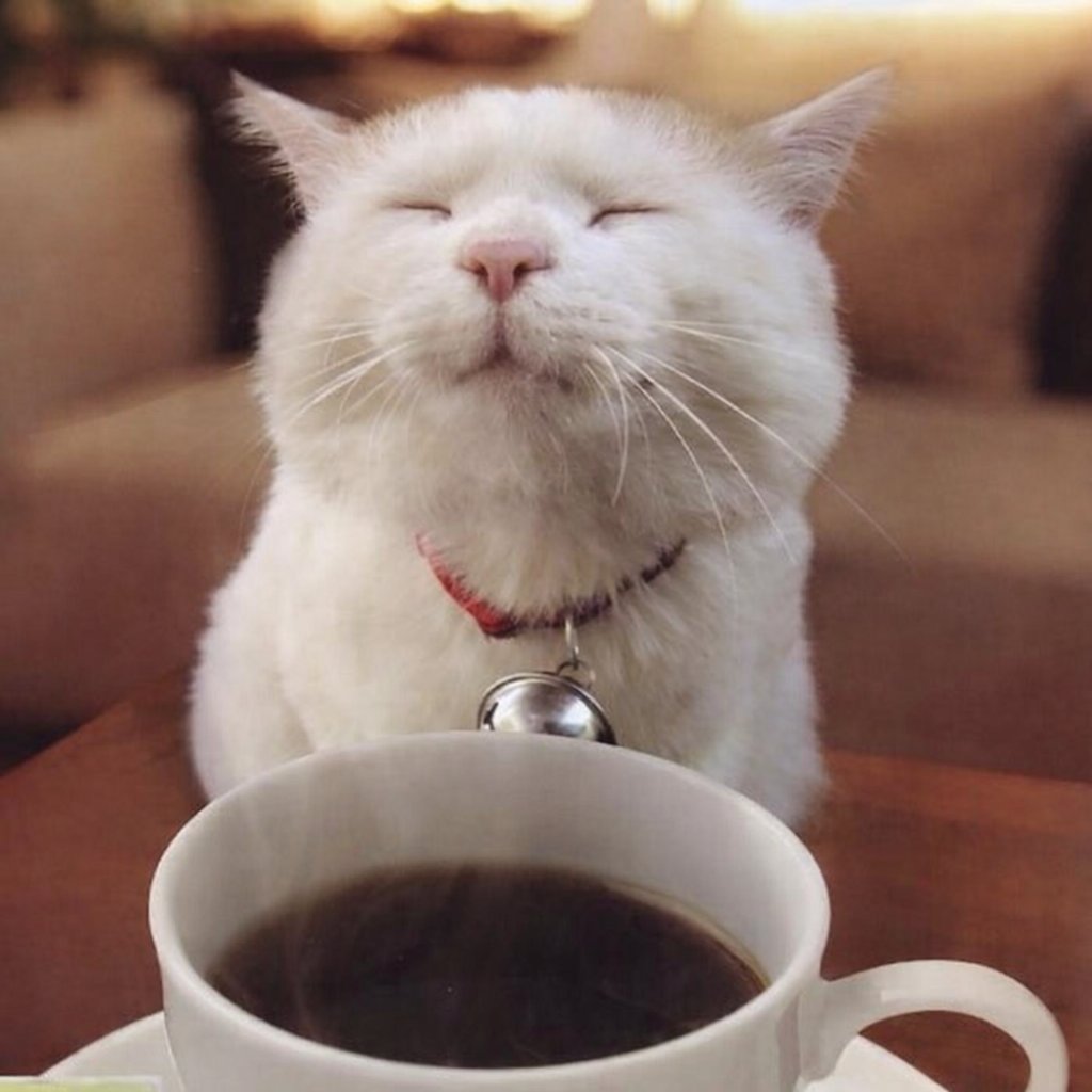 GM

#Four #FourCommunity