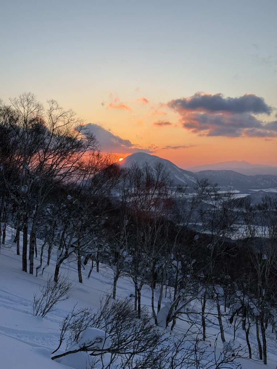 xulian.hl tweet media