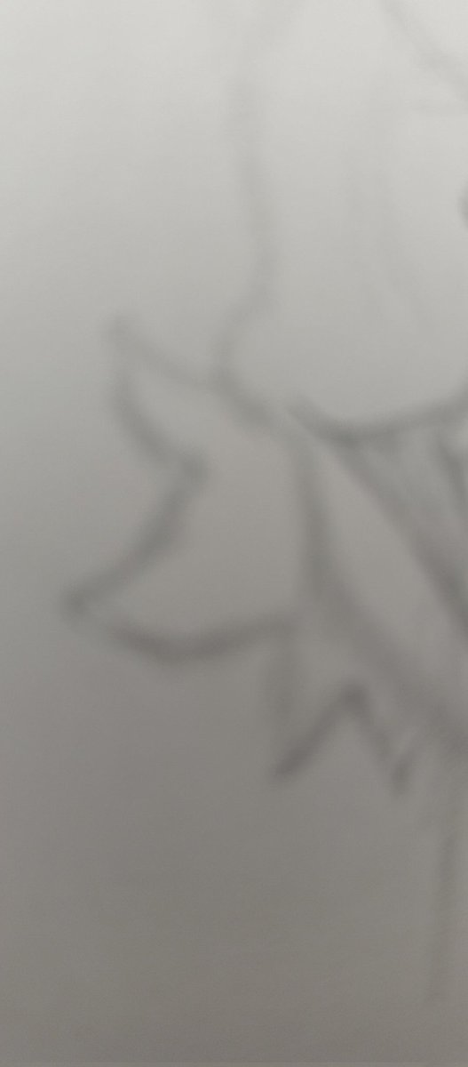 øShad0wSkulø tweet media