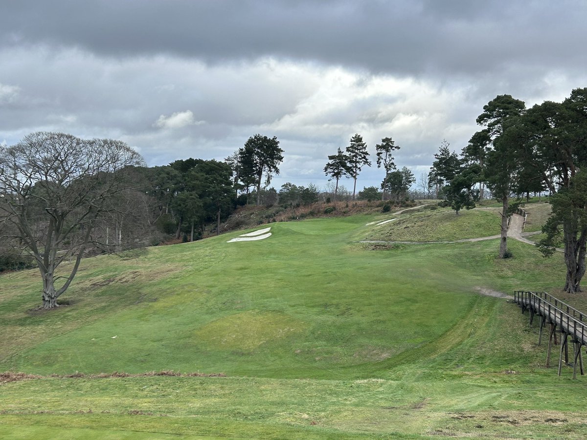 Helen Heady tweet media