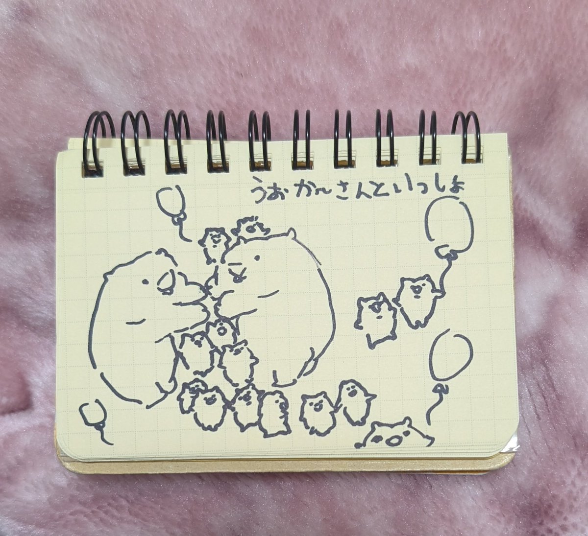 うぉか〜あさんといっしょ
のエンディング、ウォくぐり
まったね〜！
#ウォンバット