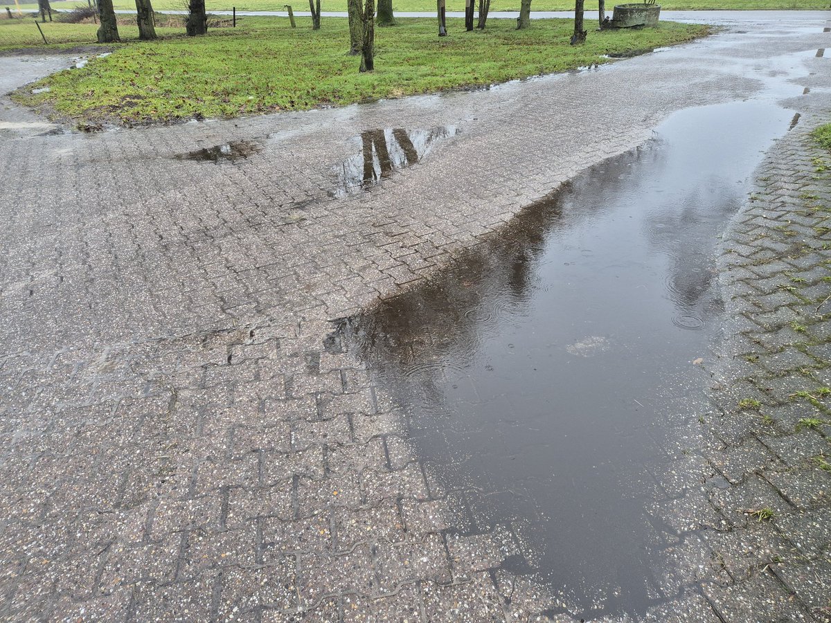 Vorige week zouden we wat hoger gelegen percelen hebben kunnen voeden, maar iemand bedacht ooit kalenderlandbouw en dus mogen we pas 16 februari het land op. Maarja dat kunnen we wel vergeten met dit weer. Een duur gevolg rest. Mest alias het bruine goud duur afvoeren....