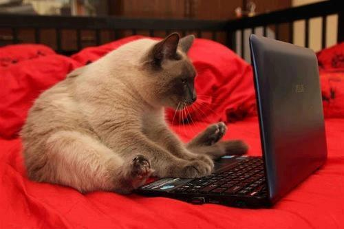 Four_FORM_'s tweet photo. Thoughts moved faster than the cursor.

#Four  #FourCommunity https://t.co/VhANaMS11J