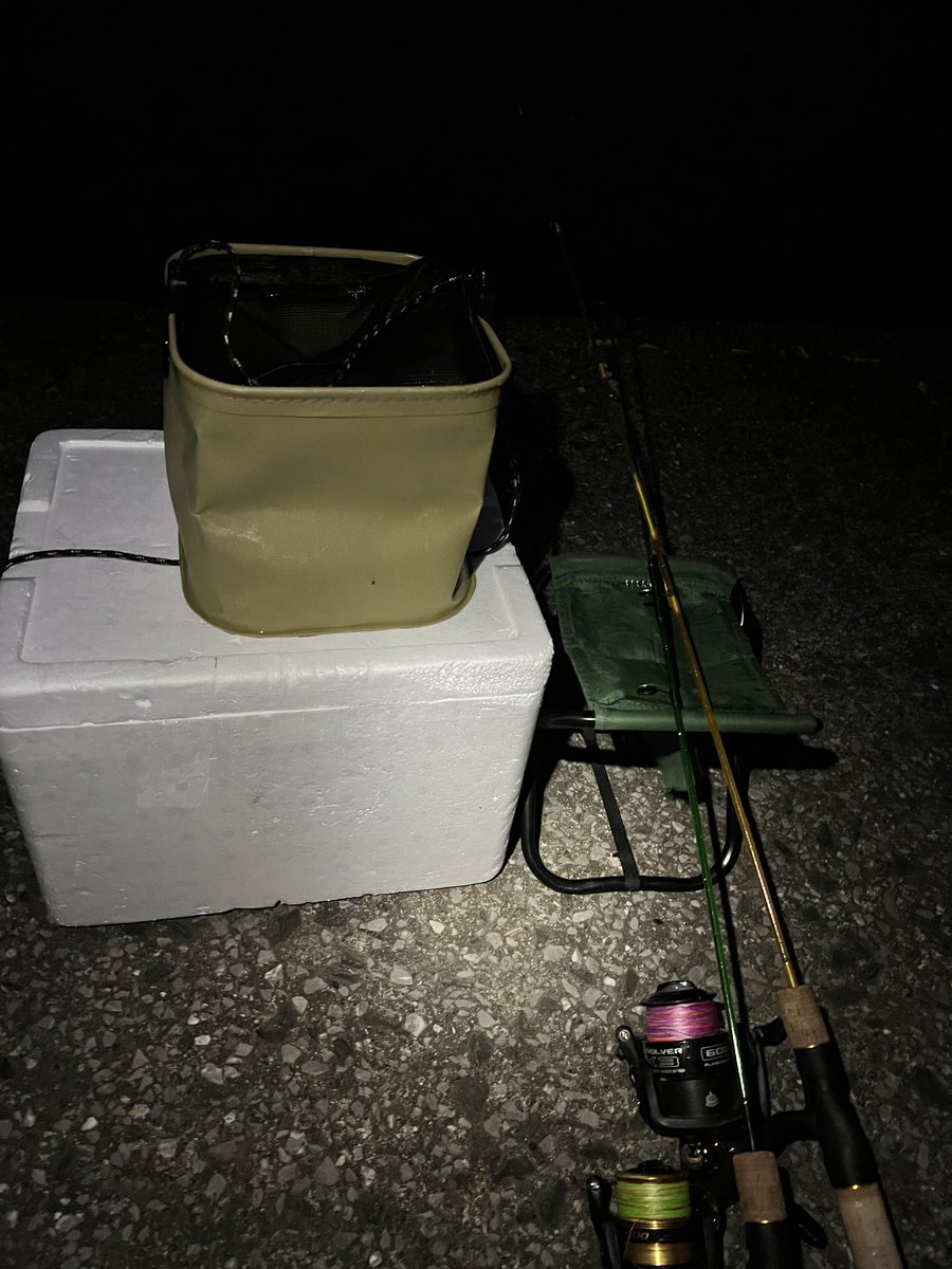 今日も今日とて