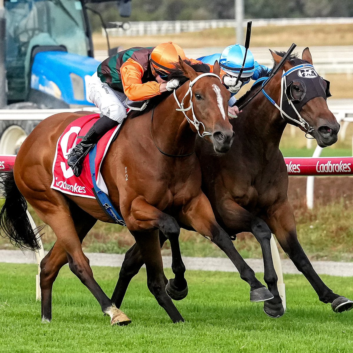 Racing Victoria tweet media