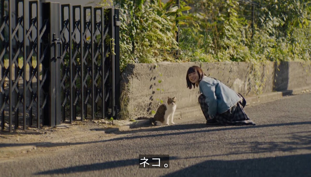 今回の好き文菜4選
 #冬のさ春のね