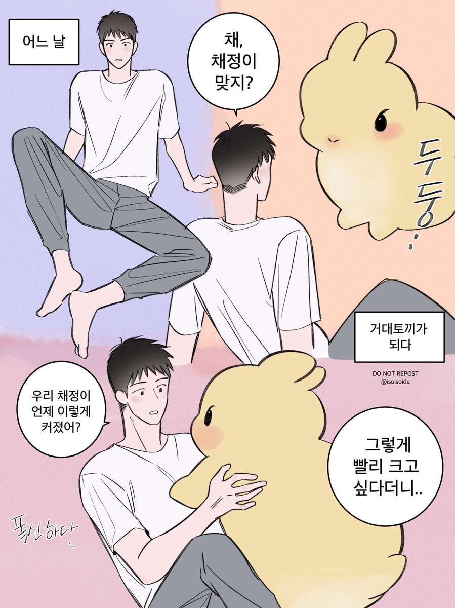 isoisoide's tweet photo. ((🐰)) https://t.co/i5hsWfudNy