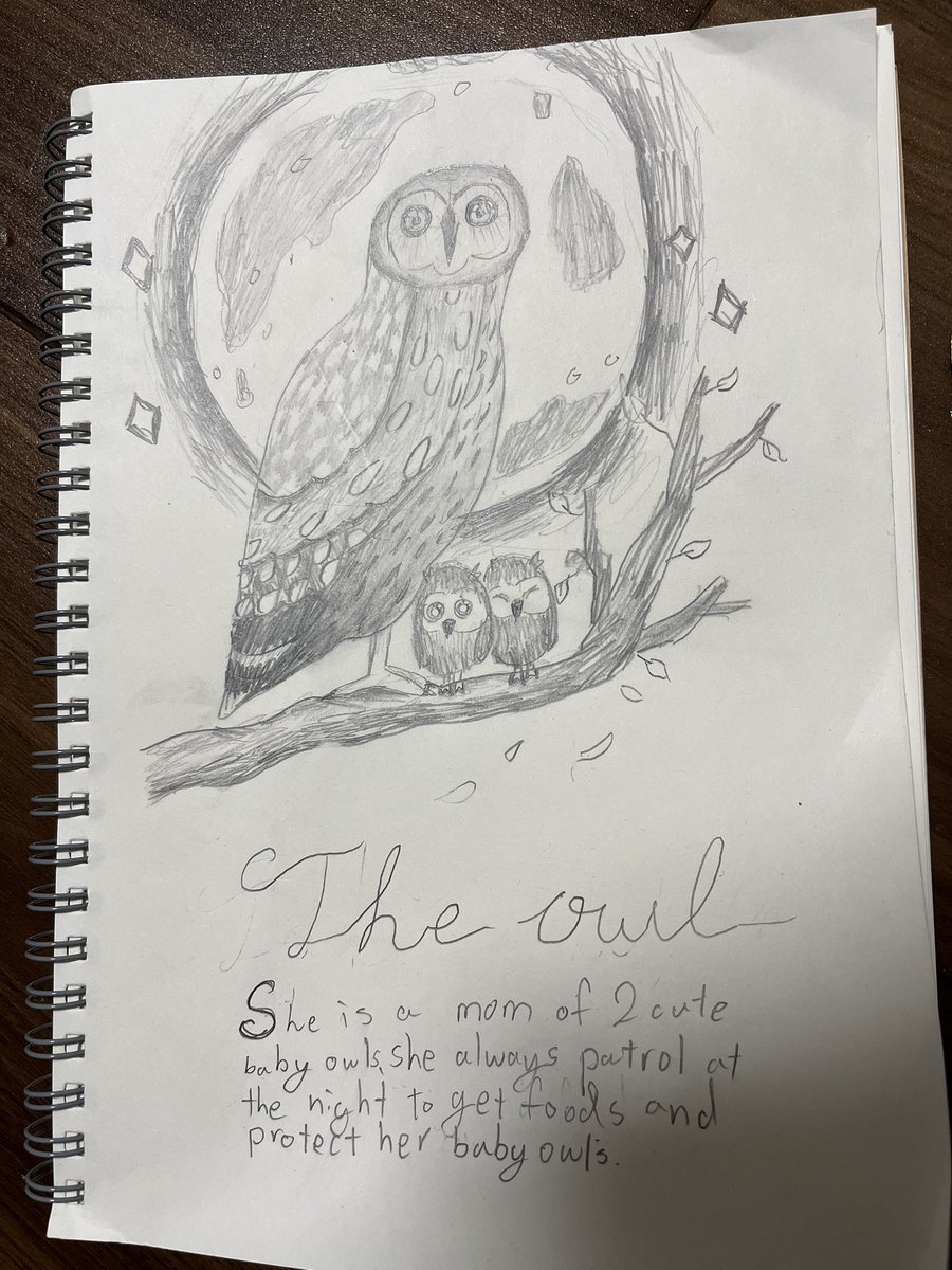 動物や植物の絵を描くのが好きなMiiの力作✨
ママフクロウ🦉と2人の赤ちゃんフクロウ🦉だそうです🦉