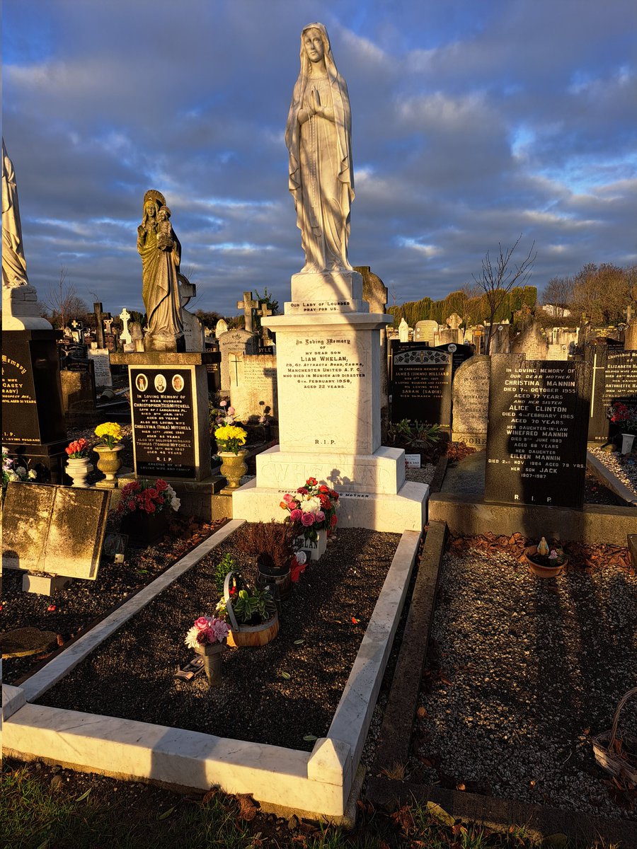 Cantona Collars AKA Larry tweet media