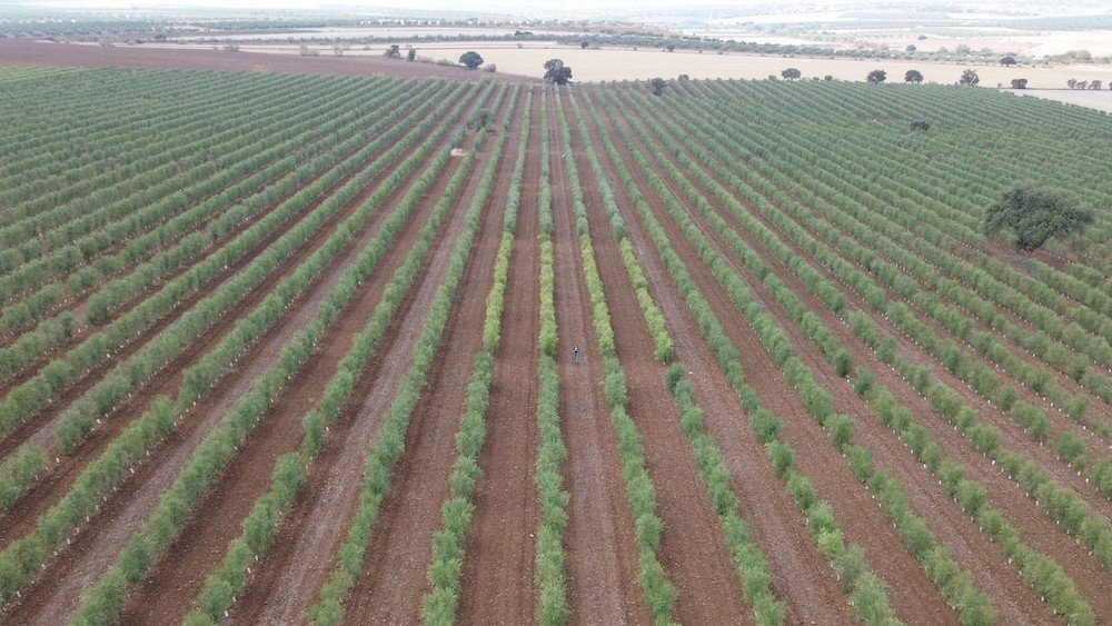 Vida Rural tweet media