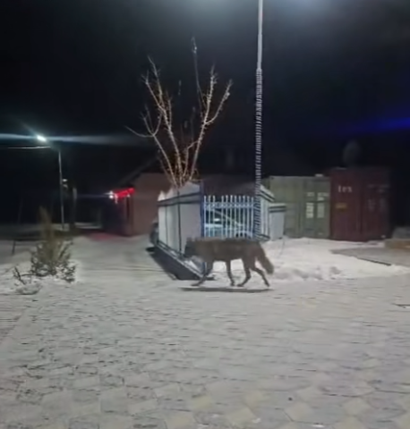 Markus Hauser tweet media