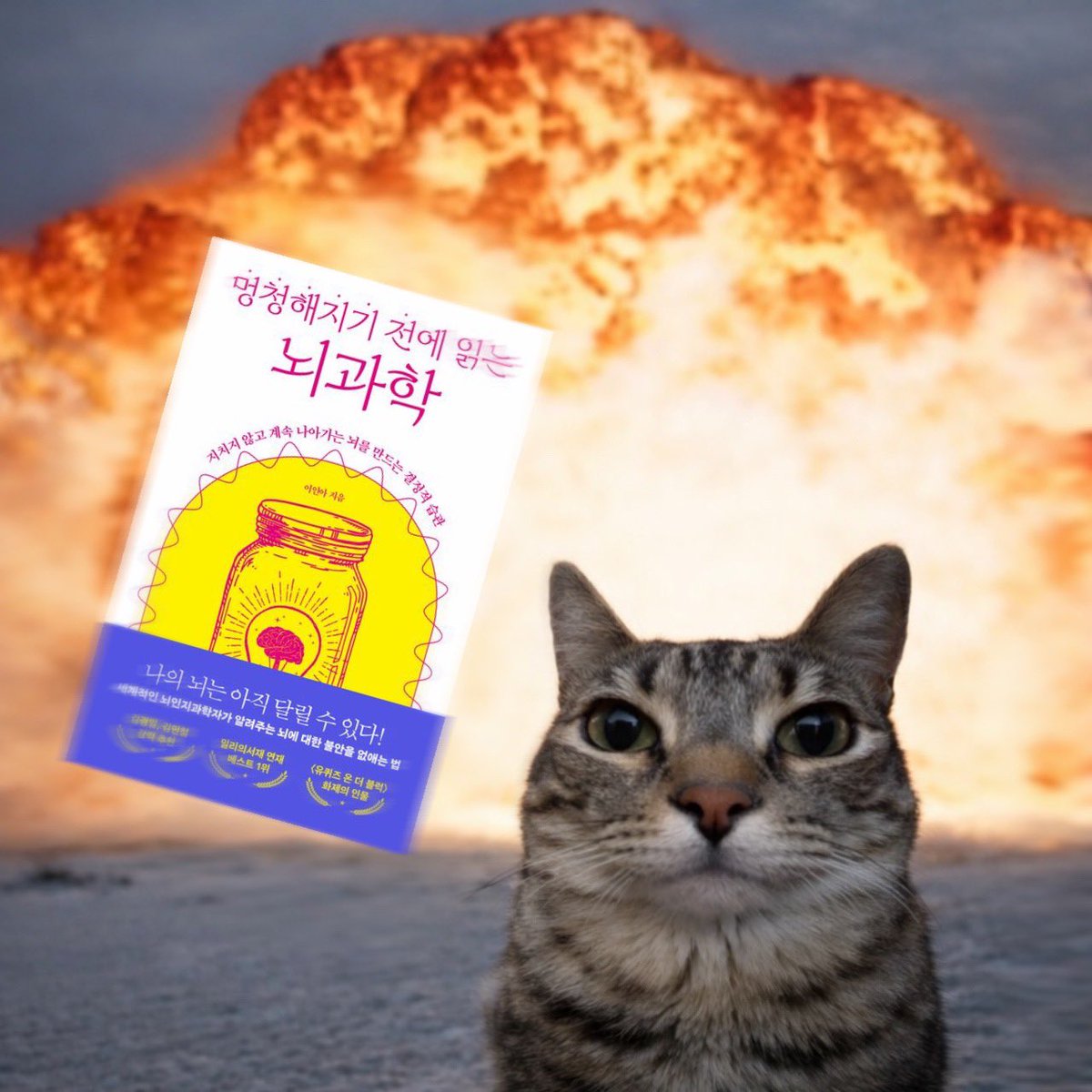 #광고 
ㄹㅇ이 책을 읽으셔야 하는 분 

- 아무것도 안했는데 번아웃 오신 분
- 각종 고자극콘텐츠에 뇌 녹으신 분
- 루틴 만들고 뒤돌아서면 없어지는 분
- 공부하면 1초만에 까먹는 분

📚『멍청해지기 전에 읽는 뇌과학』 
녹은 뇌 굳히는법은 타래로 ⬇️