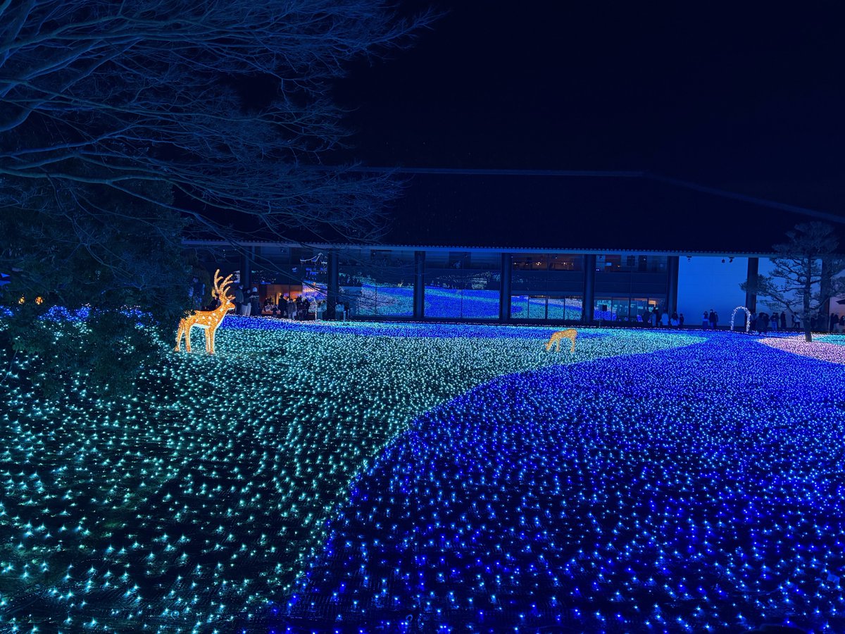 NARA CITY コンシェルジュ tweet media