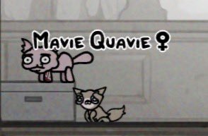 Sn0rkmaid3n's tweet photo. Can’t believe @HoboDinosaur found the name I submitted!! Mavie Quavie is the nickname I have for my totally not a pony and definitely a cat, Mavis #mewgenics https://t.co/PsID2JoqSE