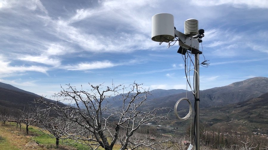 Vida Rural tweet media